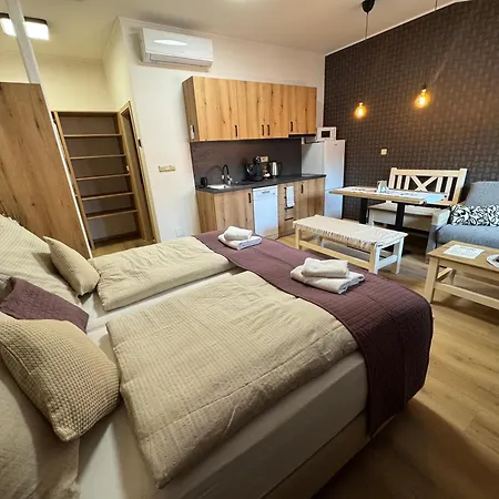 Formanka Na Namesti 公寓 *