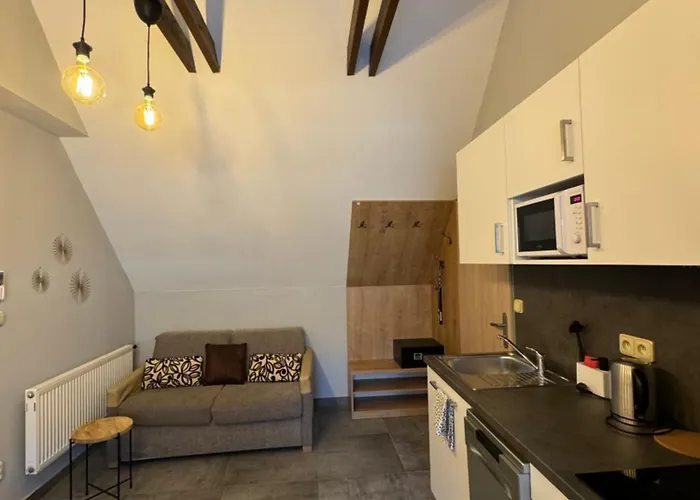 Apartament Formanka Na Namesti *
